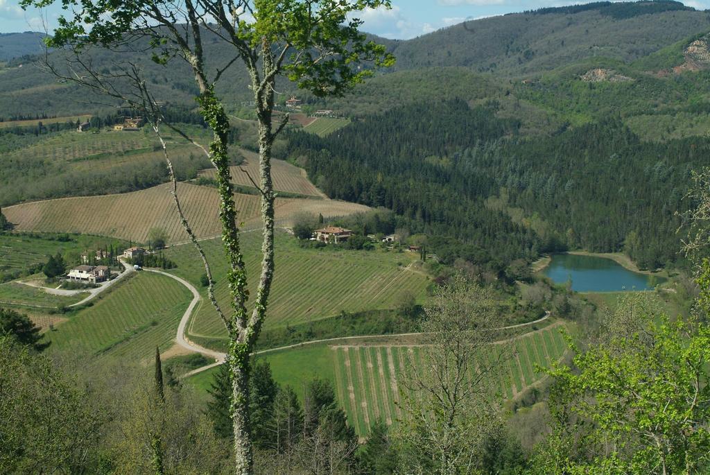 Agriturismo Vinci Гайоле-ін-К'янті Екстер'єр фото